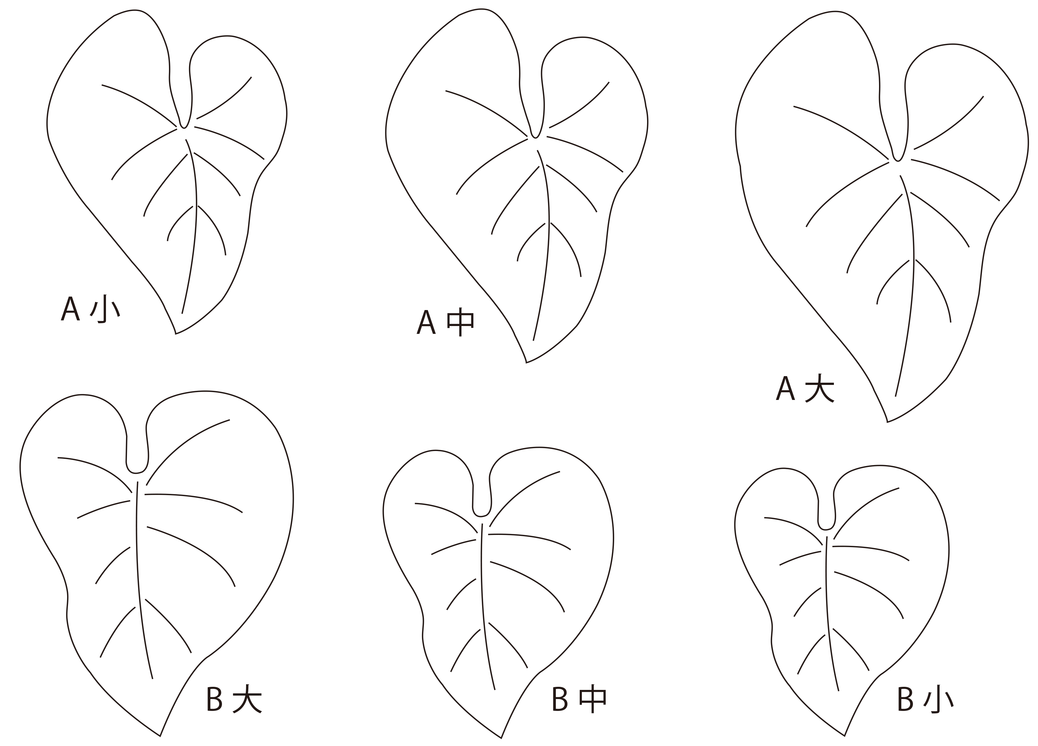 ig-cottonplants-2.png