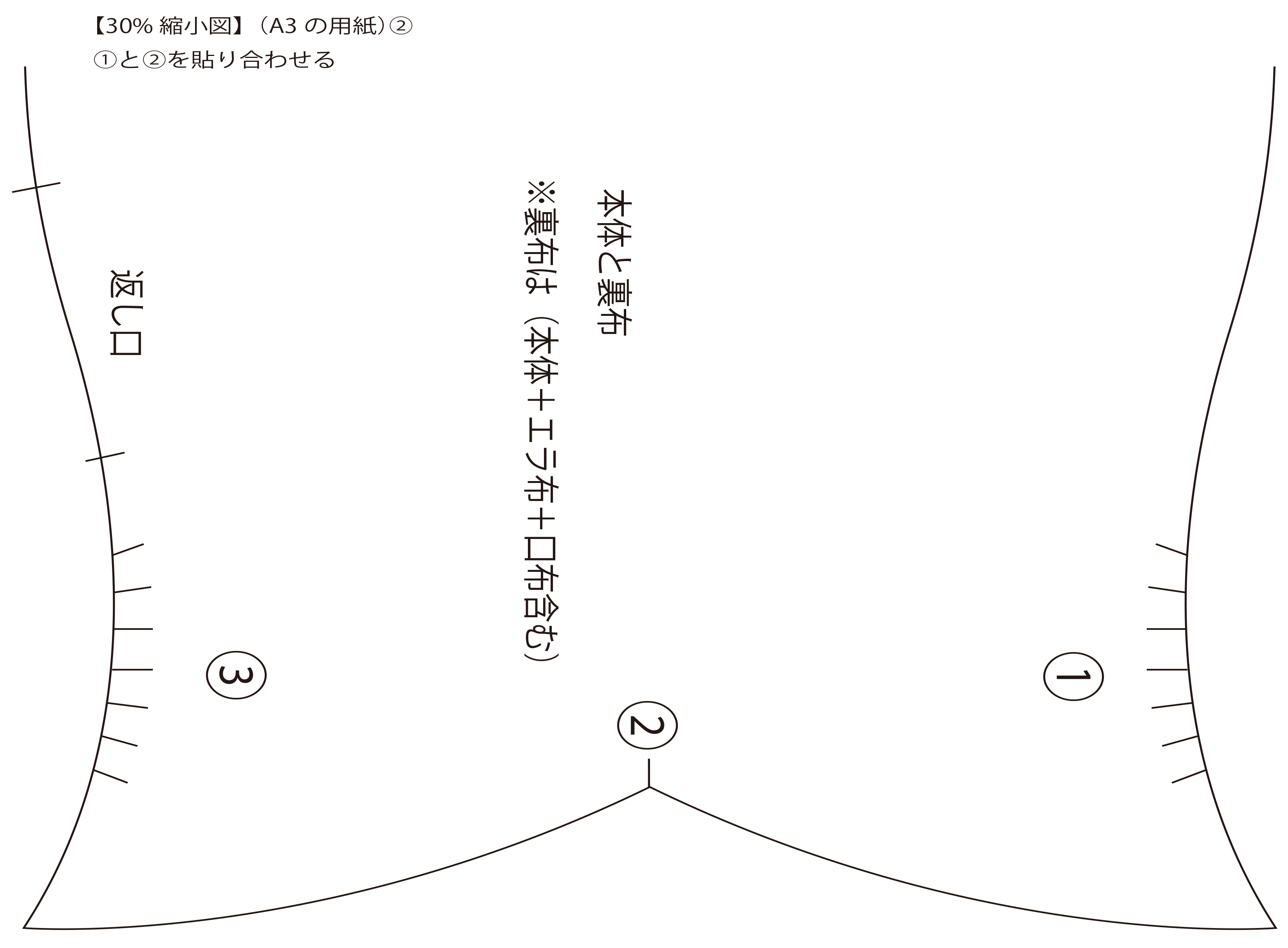 ig-koinobori-3.png