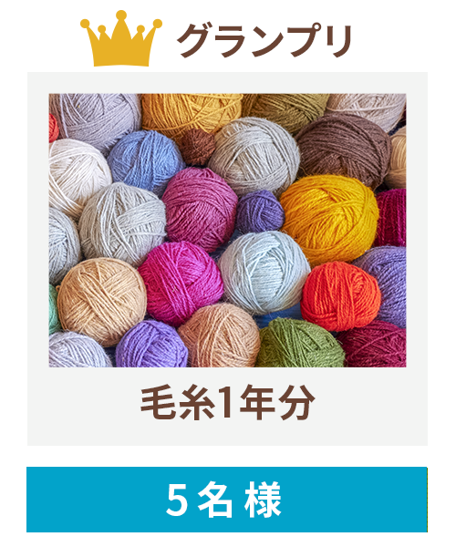 毛糸１年分