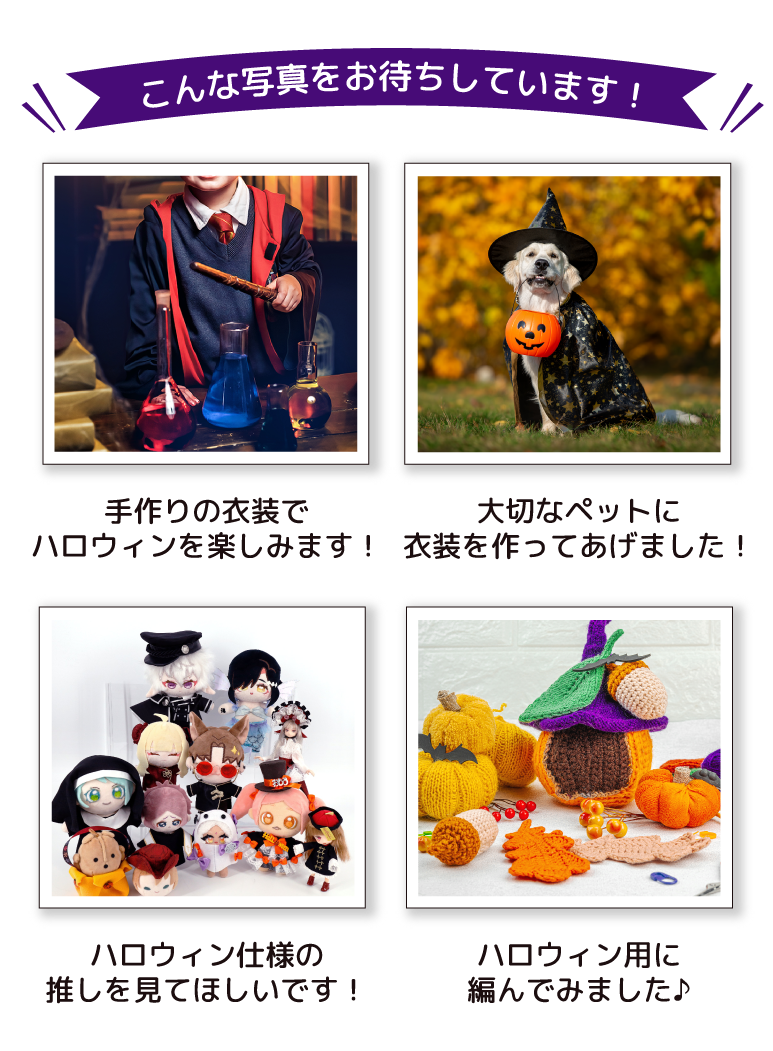 こんな写真をお待ちしています！
