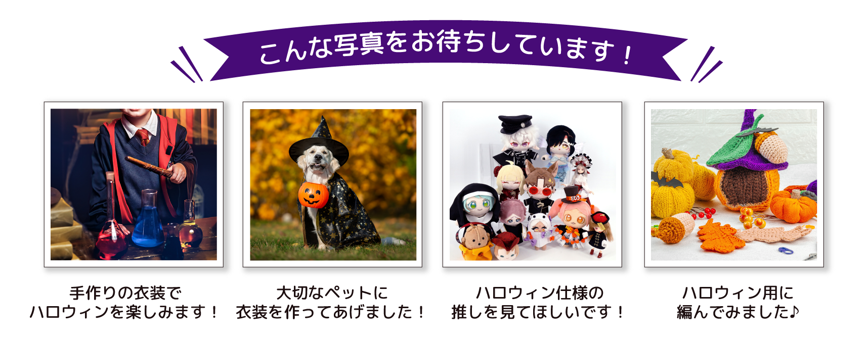 こんな写真をお待ちしています！