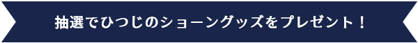 賞品