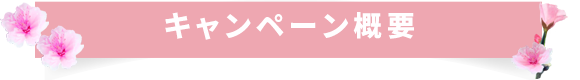 キャンペーン概要